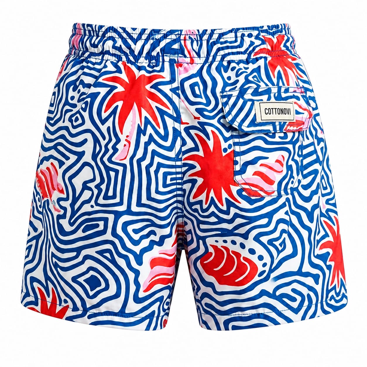 Sea elements boys swimsuit