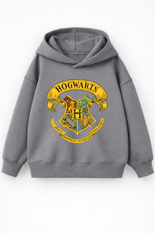 Harry Potter hoodie